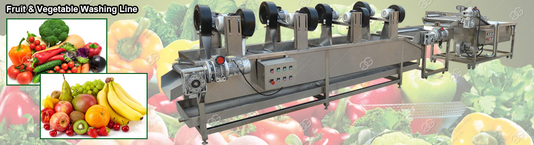 Fruit Vegtable Washing Line