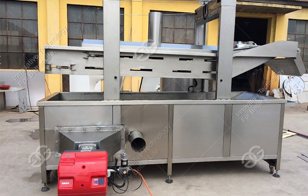 Automatic Snack Fryer Machine